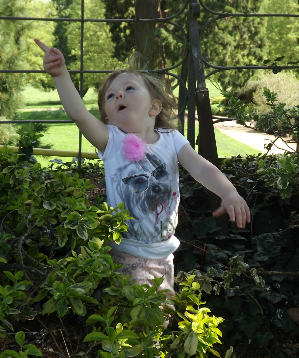 Saturday is Caption Day Amy discovering Ashton Court