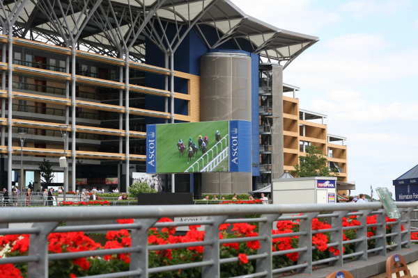 Ascot Shergar Cup 2013 Ascot Grand Stand and Premier Admission Ascot Stadium and Ranks