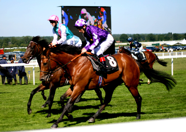 ascot racing competition family ticket ascot racing