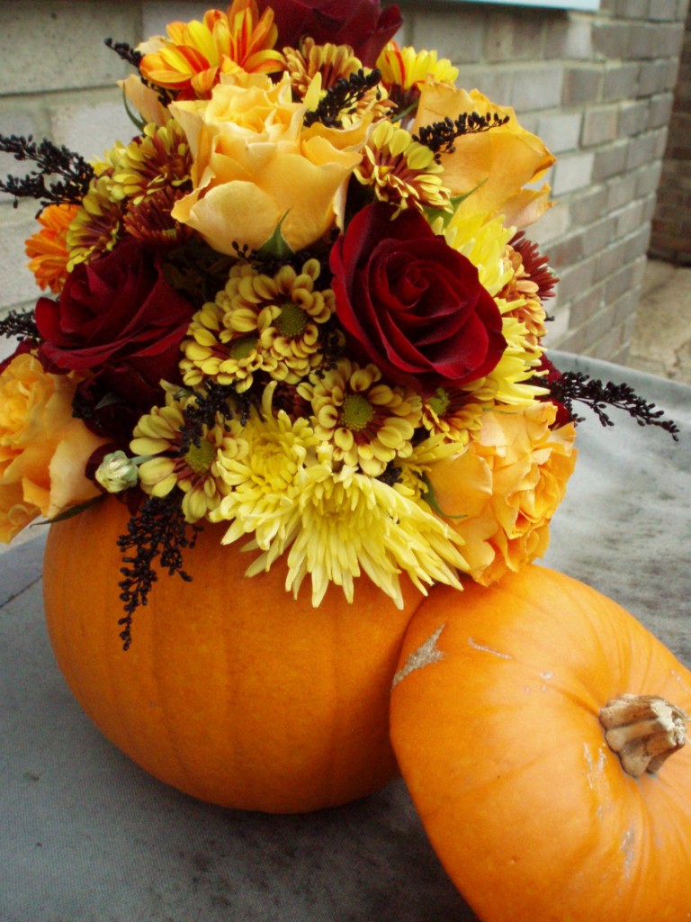 autumn flowers